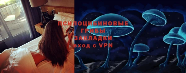 a pvp Сосновка
