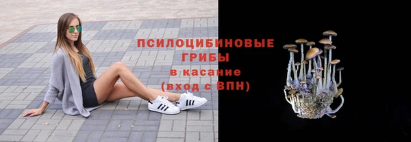 твердый Вязьма