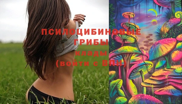 экстази Вяземский