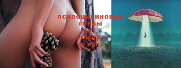 марки lsd Горняк