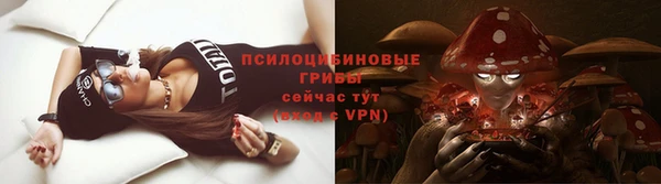 хмурый Вязники