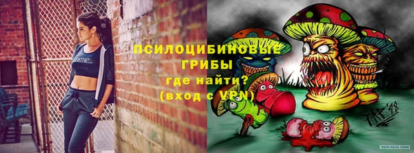 прущие крисы Сосновый Бор