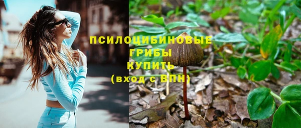 хмурый Вязники